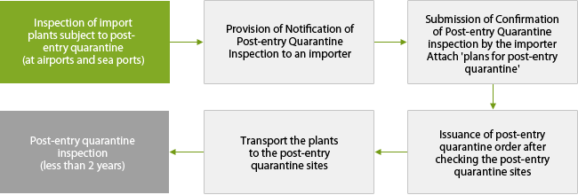 Penalties upon violation of post-entry quarantine orders process