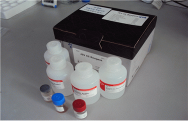 Fig. 7 HI kit for the detection of antibody against JEV. The technical skill to produce the kits was developed in the viral disease division of APQA and transferred to a company that has supplied the kits to regional diagnostic laboratories.