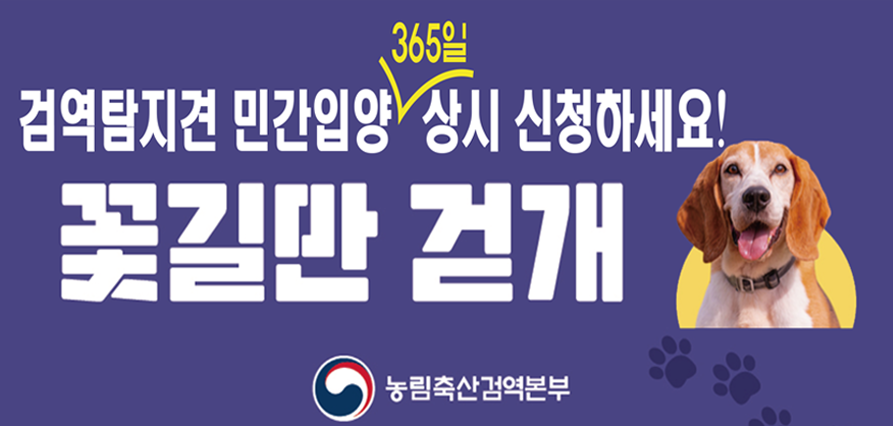 검역탐지견 민간입양